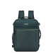 Delsey Brochant 3 - Underseater Ryggsekk Pine