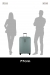 Samsonite Fyrm - Stor Utvidbar Basil Green